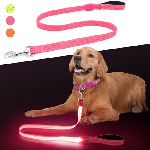 LED Dog Leash, Light Up Dog Leash 4 Ft USB Rechargeable Waterproof, Nylon Reflective Leashes with Padded Handle for Dogs Night Walking Light, Safety Glow in The Dark for Large Medium Pets (Pink)
