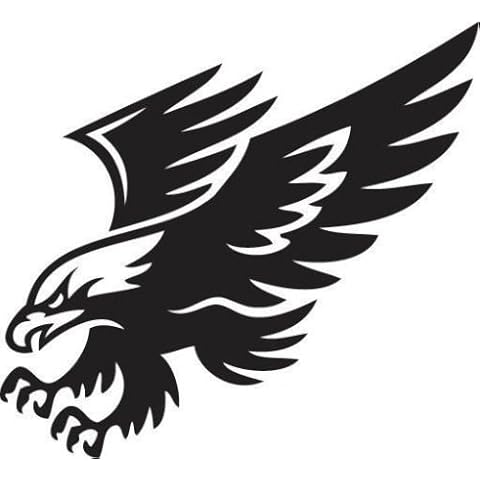 Ranger Products Eagle Attack Vinyl Decal Car Window Wall Laptop Sticker, Die Cut Vinyl Decal for Windows, Cars, Trucks, Tool Boxes, laptops, MacBook - virtually Any Hard, Smooth Surface Cover