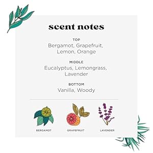 Poo-Pourri Before-You-Go Toilet Spray, Lavender Vanilla, 2 Fl Oz - Lavender, Vanilla and Citrus Poo Pourri Before You Go Toilet Spray Lavender Vanilla 2 Fl Oz Lavender Vanilla and Citrus