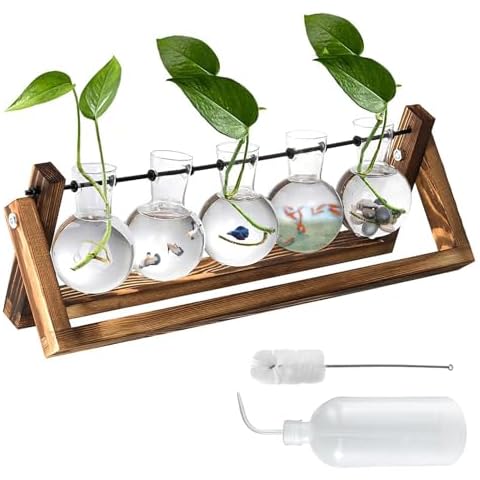 Glass Bulb Vase with Wooden Stand Cover