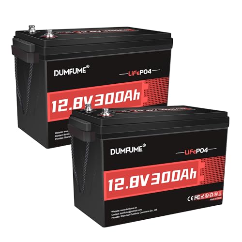 Dumfume 2 Packs 12V 300Ah Lithium LiFePO4 Battery,200A BMS 3840WH