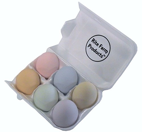 Rite Farm Products 6 PK Pastel Ceramic Dummy Chicken Nesting NEST Fake Training Egg Hatching Craft