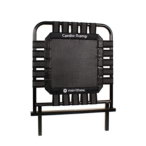 STOTT PILATES Thuis SPX® Reformer Cardio-pakket met digitale trainingen van Merrithew™/STOTT PILATES® - Afbeelding 4