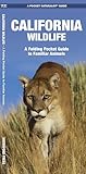 California Wildlife: A Folding Pocket Guide to Familiar Animals (Wildlife and Nature Identification)