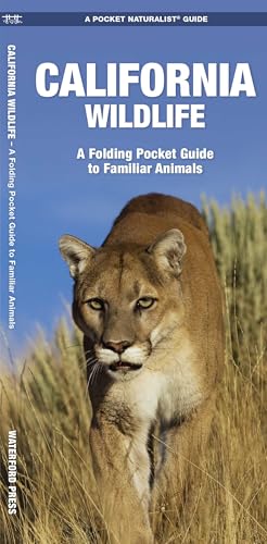 California Wildlife (Nature Observation North America)