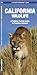 California Wildlife (Nature Observation North America)