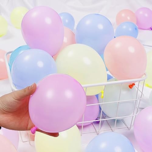 BTZO  D ~j o[ 5C` 50 }JJ[ pXe ~bNX o[A[g a t Cxg p[eB[ j LO  Ղ 