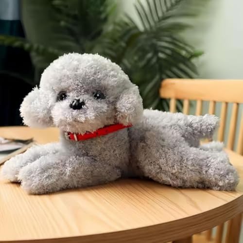 ʂ v[h  A { nhCh ₳G  gCv[h  傫 YQ Q ӂ q ޏ N NX}X LO av[g (35cm,O[)