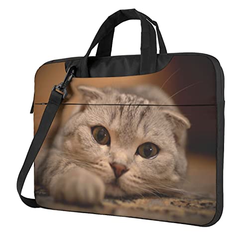 13/14/15/15.6C` m[gp\RP[X Ռz PCP[X p\RobO rWlXu[tP[X V_[obO bvgbv یP[X 񂰃Jo p\R΂ t @\ ʋ ʊw A o s jpi