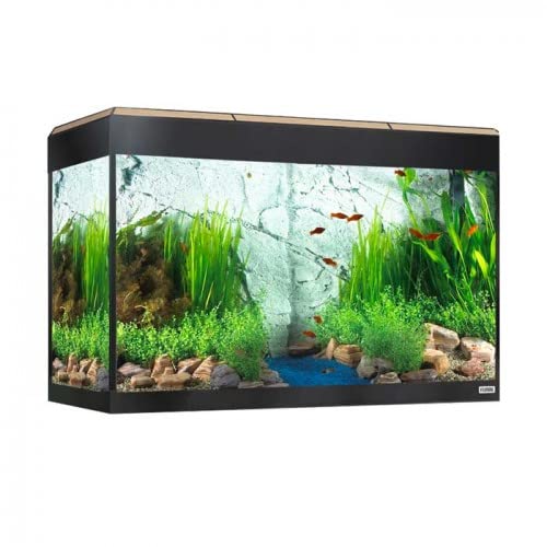Acuario de 125 litros con luz LED programable por Bluetooth Fluval Roma roble