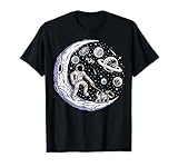 Astronaut Walking A Dog On The Moon In Space