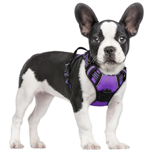 Image of rabbitgoo Dog Harness No Pull with 2 Leash Clips, Adjustable Soft Padded, Reflective Oxford No Choke Pet Vest with Easy Control Handle for Small Dogs, Purple, S