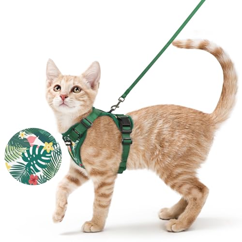 Image of rabbitgoo Cat Harness and Leash Set, Escape Proof Vest, Rainforest Green | Soft Breathable Mesh, Easy Adjustable Fit, Snap Buckles, Sturdy Clip, Reflective Strips, for Average Cats Walks, S