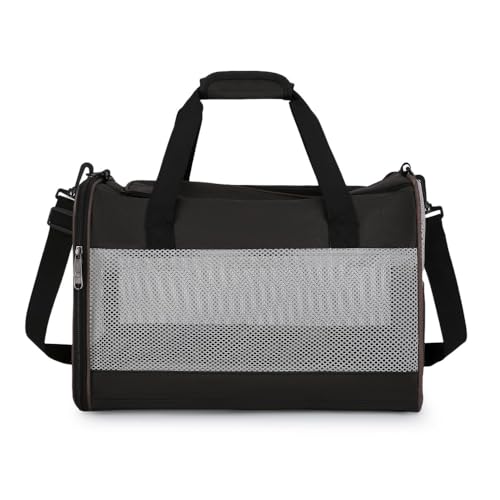 ybgobOAAEghAA|[^uAsAʋCALpobOAʉ@ h pœK e  bN (ubN)