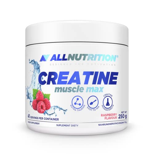 ALLNUTRITION Creatine Muscle Max Nahrungsergänzungsmittel - Creatin Monohydrat mit Taurin - Leistungssteigerung und Muskelaufbau - ohne Zuckerzusatz - Instantpulver 250g - Himbeere