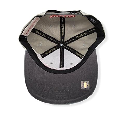 Gorra Snapback Brooklyn Nets Gris Cool Grey miniatura 5