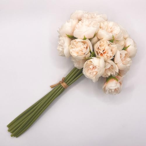 䉖 VNN   9{ N[Fɋ߂T[sN