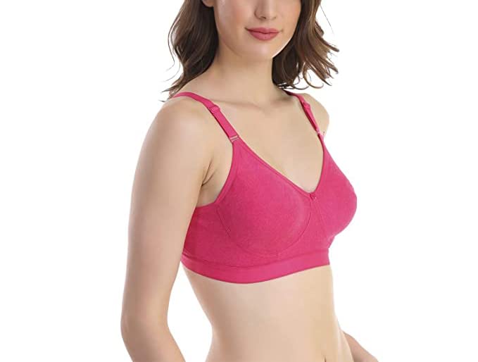 Image of SKDREAMS Blue & Brown & Purple-32D Cotton Blend Seamless Non Padded Non-Wired Full Coverage Pack of 3 Women T-Shirt Bra Combo