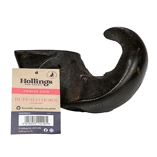 Buffalo Horns for Dogs