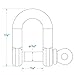 Seachoice D Anchor Shackle, 316 Stainless Steel, 5/16 in.