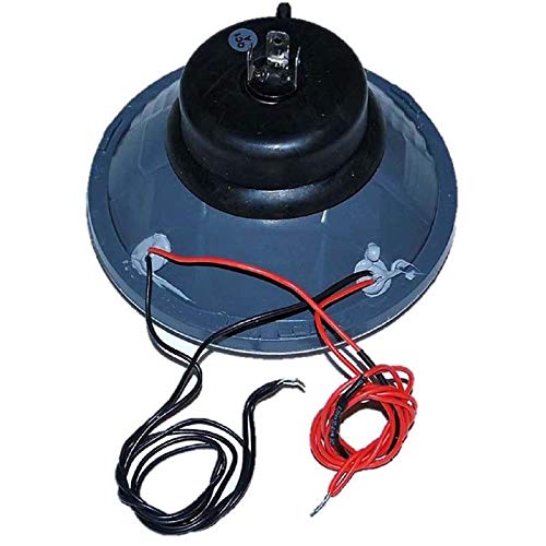 Octane Lighting 5-3/4