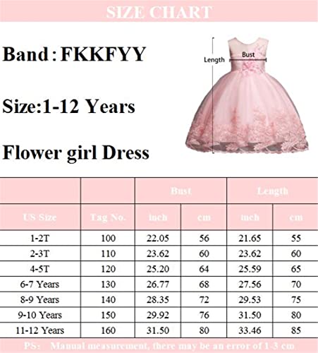 Little Girls Dress 4T Blush-Pink Summer Wedding Special Occasion Dresses For Kids Size 4-6 Knee Length Floral Bridesmaid Dresses For Toddlers Age Of 5 Lace A-Line Tulle Princess Dresses (Pink 120) #TOP5