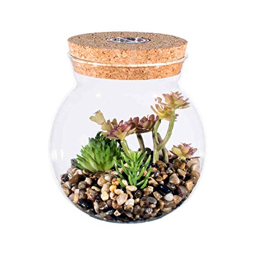 Preisvergleich Produktbild Runde Glasflaschen, KinkGlass Glasflasche LED Dekoration, Micro Landschaft Aquarium Dekoration Flasche Terrarium für Büro und Hause Dekor (Pflanze, grün)