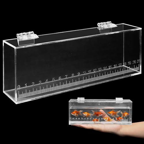 Acrylic Fish Viewing & Breeding Box