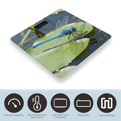 Báscula digital Dragonfly con pantalla LCD grande y alta precisión miniatura 3