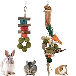 Aisamco Bunny Chew Toys,2 Pack Rabbits Cage Hanging Chew Toys and Treats for Bunny Guinea Pigs Chinchillas Hamsters Rats and Other Small Pets Teeth Grinding