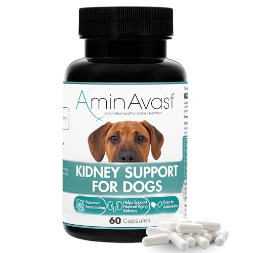 AminAvast Dog Kidney Supplement - Supports Natural Kidney Function - Promotes Health & Vitality of Aging Kidneys - Pet-Friendly 1000mg 60 Capsules.
