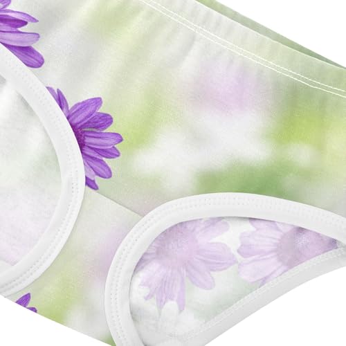 Toddler Girls Underwear 2t Cotton Panties for Girl Personalized Underpants Briefs Purple White Flowers Butterflies4