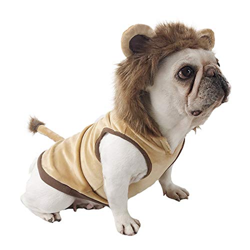 Amazon | PP&DD 犬服 獅子デザイン ライオン パーカー 面白い 耳