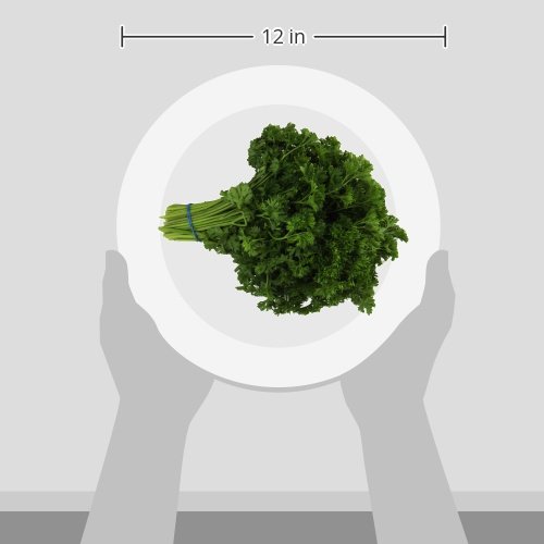 Organic Curly Parsley, One Bunch