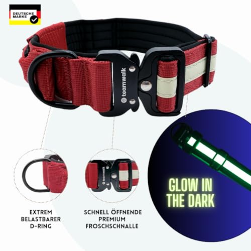 teamwalk® Premium Hundehalsband - mit Magnetgriff, Leuchtstreifen, Air-Tag Tasche, individuell einstellbar, weiche Polsterung, robuste Schnalle, mit passender Leine erhältlich, JETZ NOCH Leichter(M)