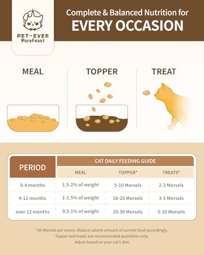 PET-EVER PureFeast gefriergetrocknetes Katzenfutter, 97% tierischen Ursprungs, weiches trockenes rohes Katzenfutter, Katzenleckerli und Toppings (400g, Rindfleisch)