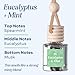 CANDECraftCo Car Air Hanging Fragrance Oil, Car Auto Freshener for Essential Oils, Scents Fragrance Aromatherapy Automobile Diffuser, Long Lasting (Eucalyptus & Mint)