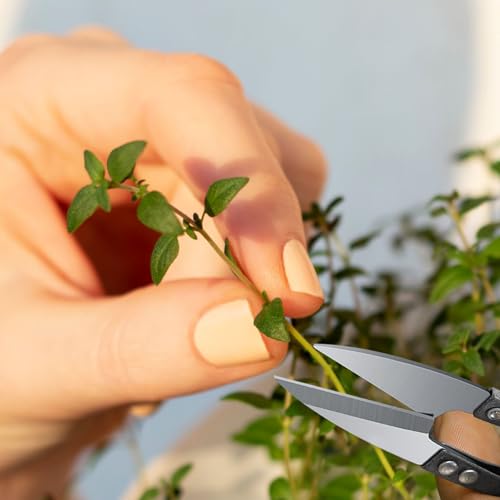 Tijeras mini de poda para bonsái 2 pcs miniatura 4