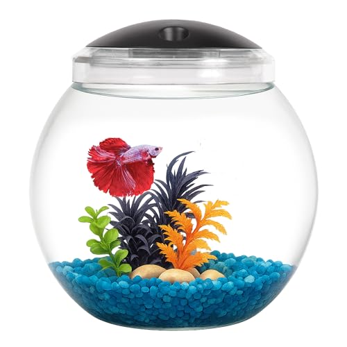 Koller Products 1-Gallon Globe Fish Bowl, Impact- Resistant Plastic Aquarium Starter Kit with LED Lighting, Built-in Timer, Crystal-Clear Clarity, Desktop Fish Tank for Home Décor