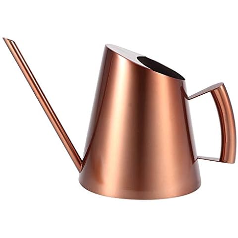 Arrosoir en Acier Inoxydable Jenngaoo Cover