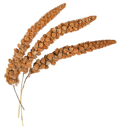 Dehner Vogelfutter, Kolbenhirse, rot, 500 g – Bild 4