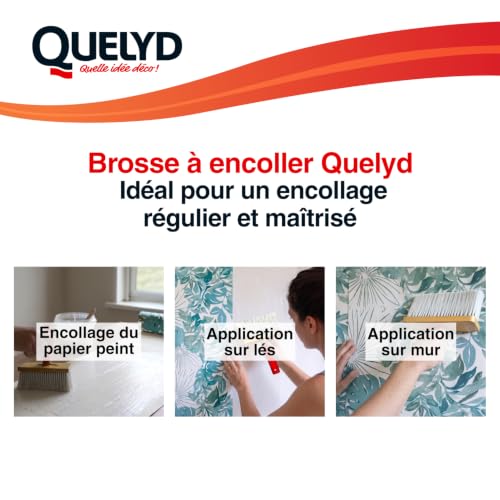 Quelyd Brosse A Encoller – vue 6