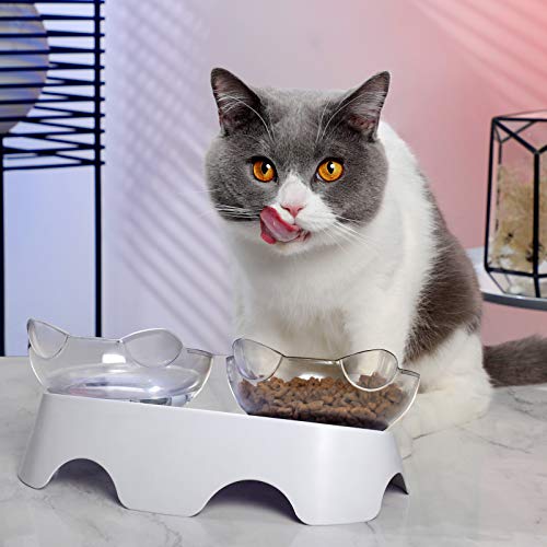 MILIFUN Cat Bowls, Cat Food Bowls Elevated Tilted, Anti Vomiting Kitty