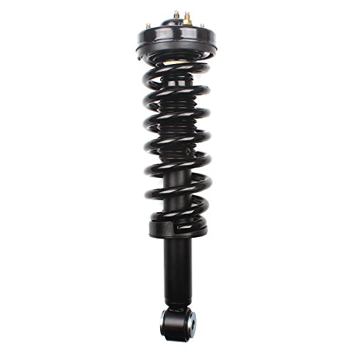 Scitoo 2Pcs Front Left And Right Complete Strut Shock Assembly Fit 2009-2012 For Ford F150 2Wd Rwd #TOP1