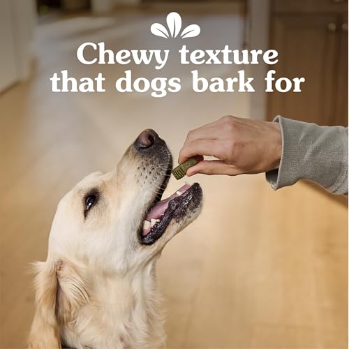 Greenies Dog Anytime Bites Bite-Size Treats for Dogs Mint Flavor 65-Chewy Treats – Ansicht 5