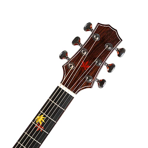 MEIeynt Guitare Acoustique débutant Adulte Pleine Taille 41 Pouces pan coupé Acustica Guitarra Bundle Kit avec Sac Tuner… - Les Beatles, Paul McCartney, John Lennon, RIngo Starr, George Harrison MEIeynt Guitare Acoustique débutant Adulte Pleine Taille 41 Pouces pan coupé Acustica Guitarra Bundle Kit avec Sac Tuner… – Image 7
