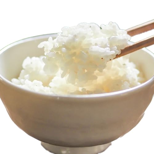 [令和8年産] 米 こしひかり 10kg 定期便 3ヶ月 計 30kg