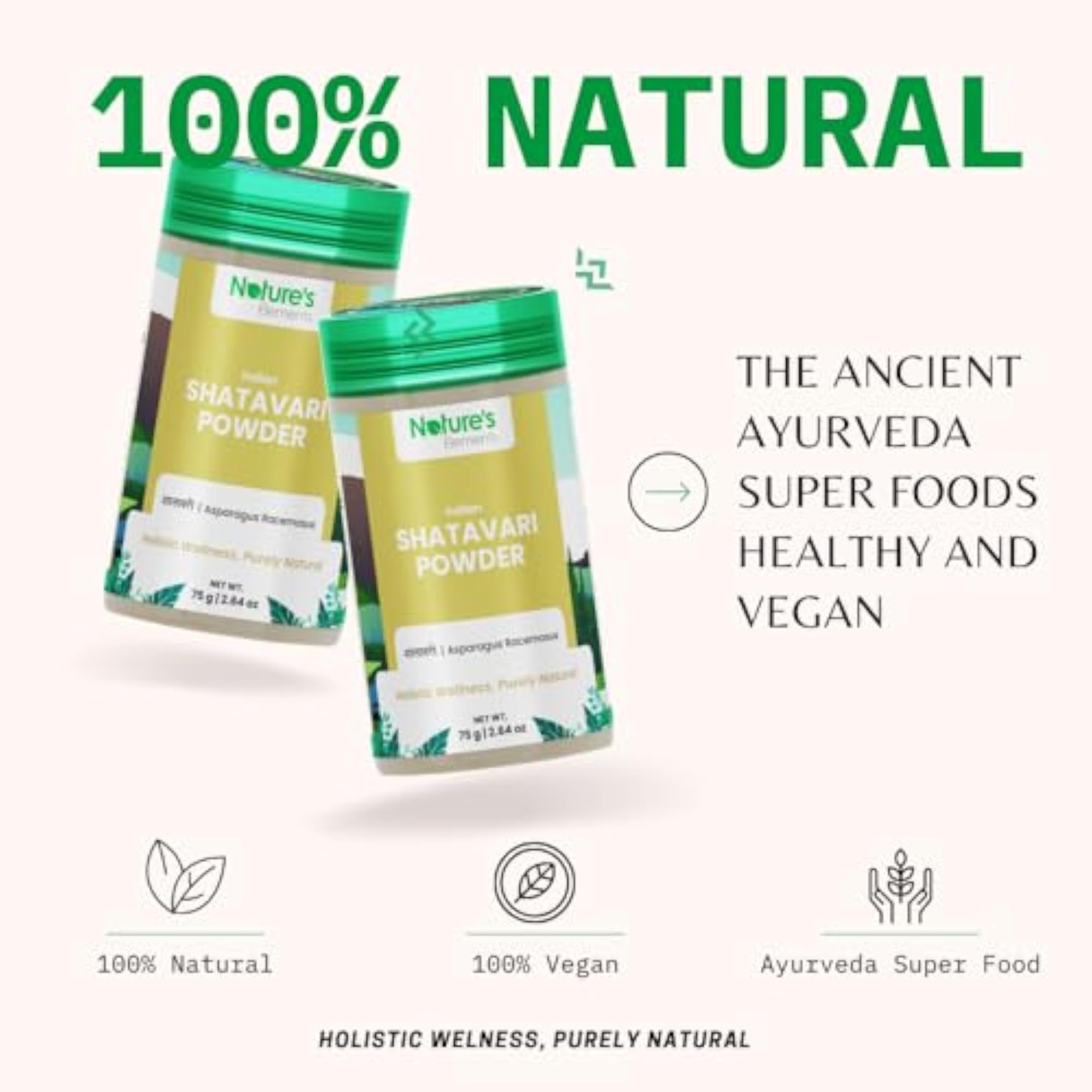 Nature's Elements Jamun Seed & Shatavari Powder, 160g