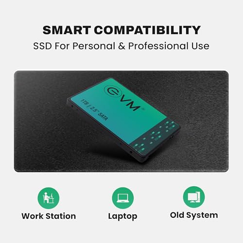 EVM Store EVM 1TB 2.5-Inch SATA III SSD - Image 6