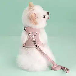 Coleira Colete Com Guia Para Cachorro, Gatos, Cães Pequenos, Coelho, Porquinho da Índia e Filhotes Pet (Rosa, P)